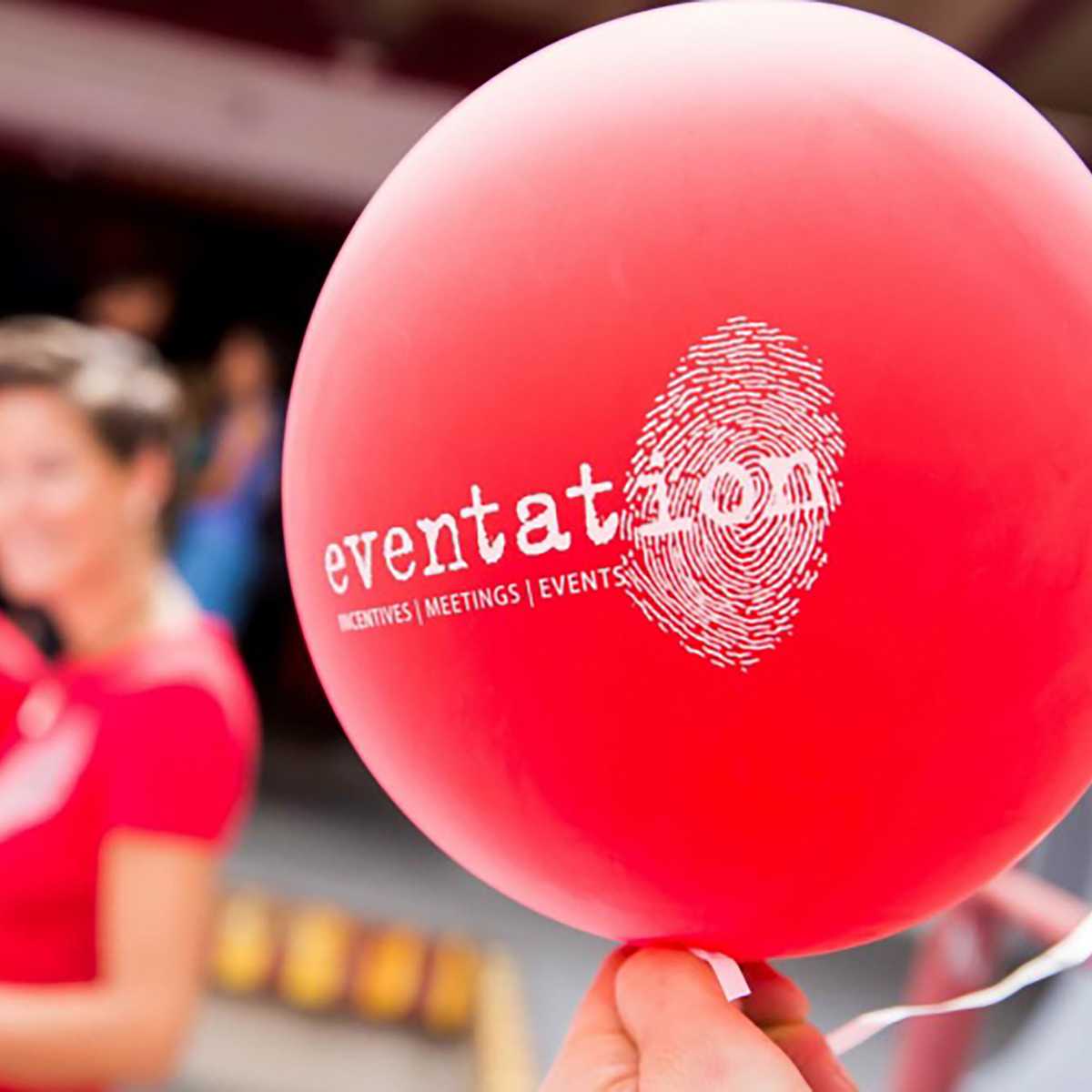 Our Team: Individual, Familiar, and Professional
